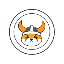FLOKI