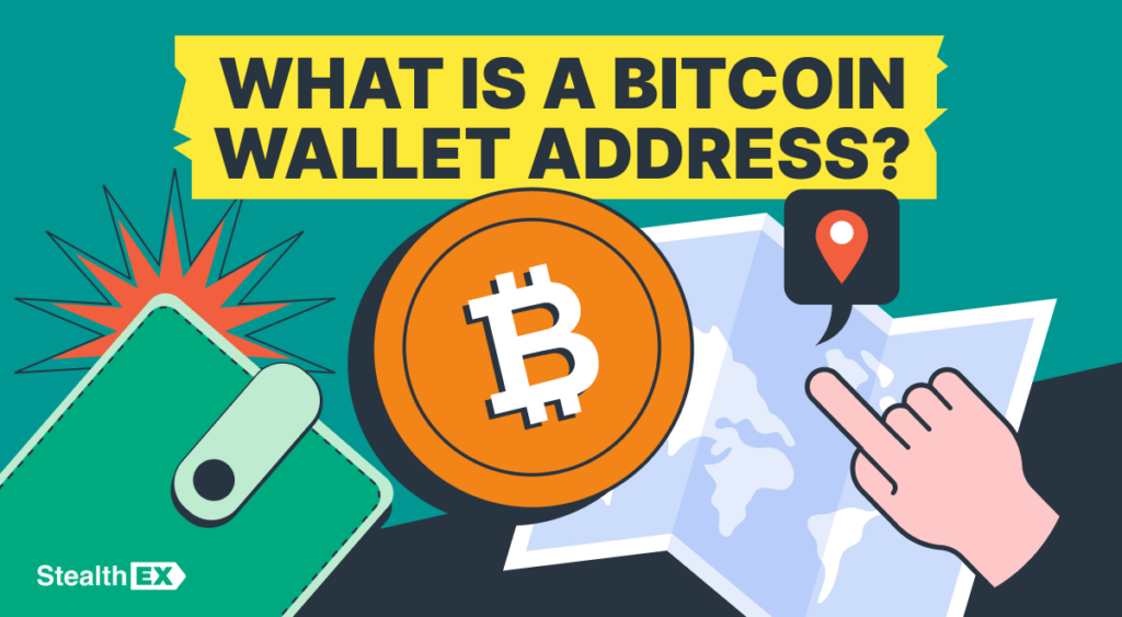 What Does a Bitcoin Address Look Like? BTC Wallet Address Format and Examples What Does a Bitcoin Address Look Like? BTC Wallet Address Format and Examples